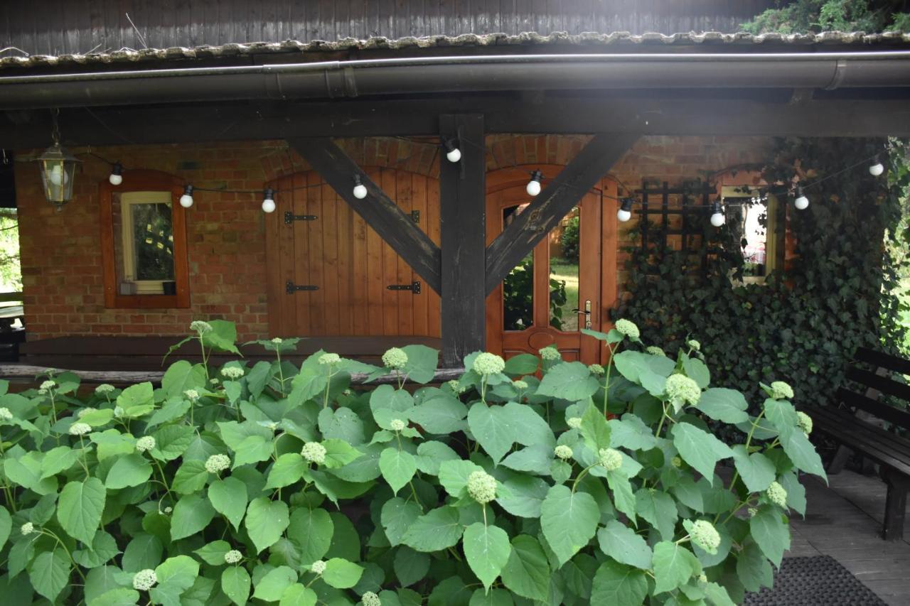 Farm stay Gosciniec Pod Debem Trzciel
