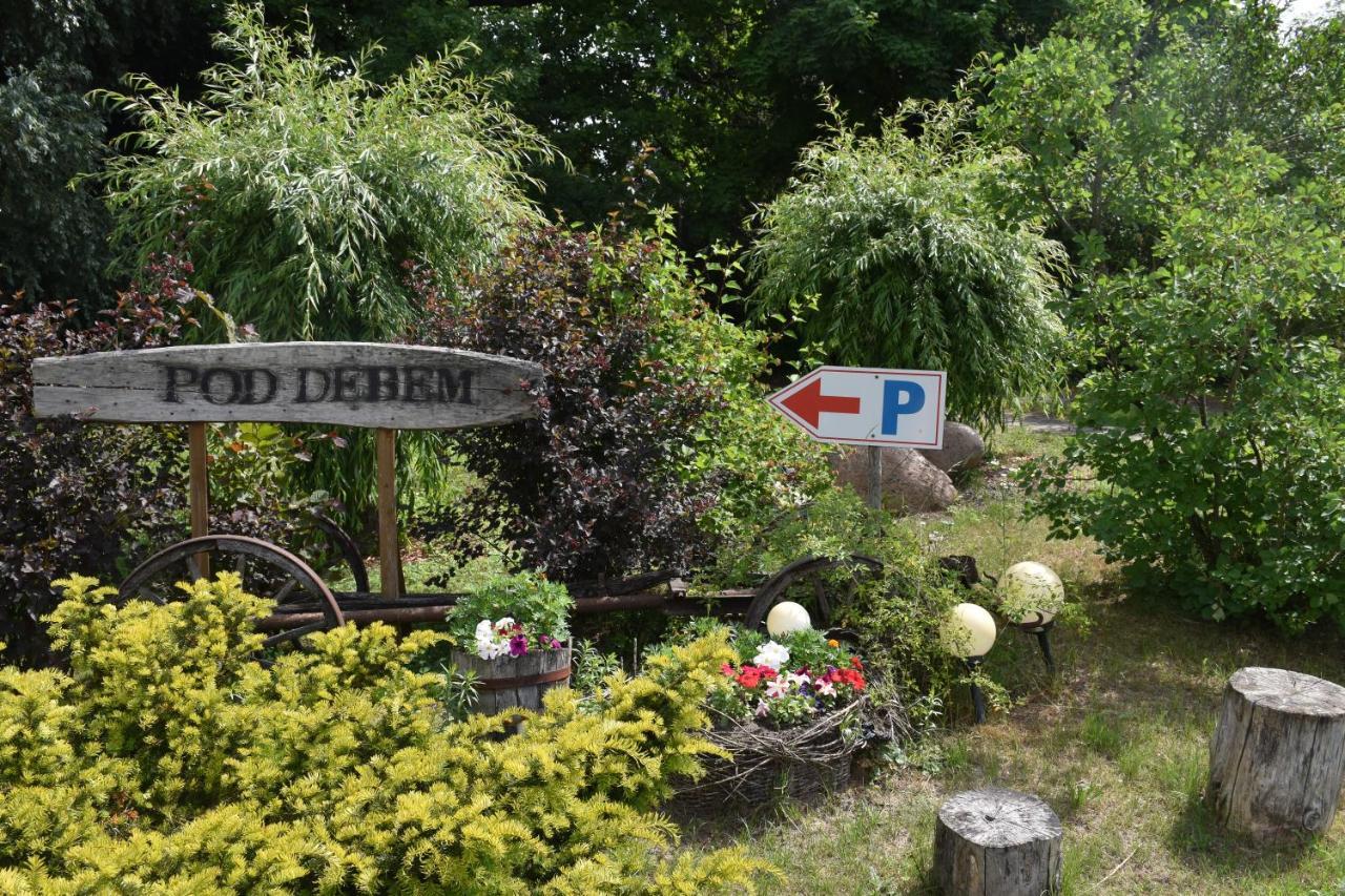 Gosciniec Pod Debem Farm stay Trzciel